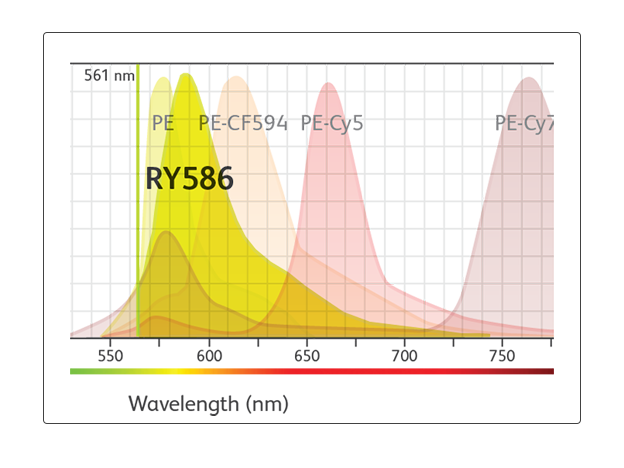 RY 586 spectrum image