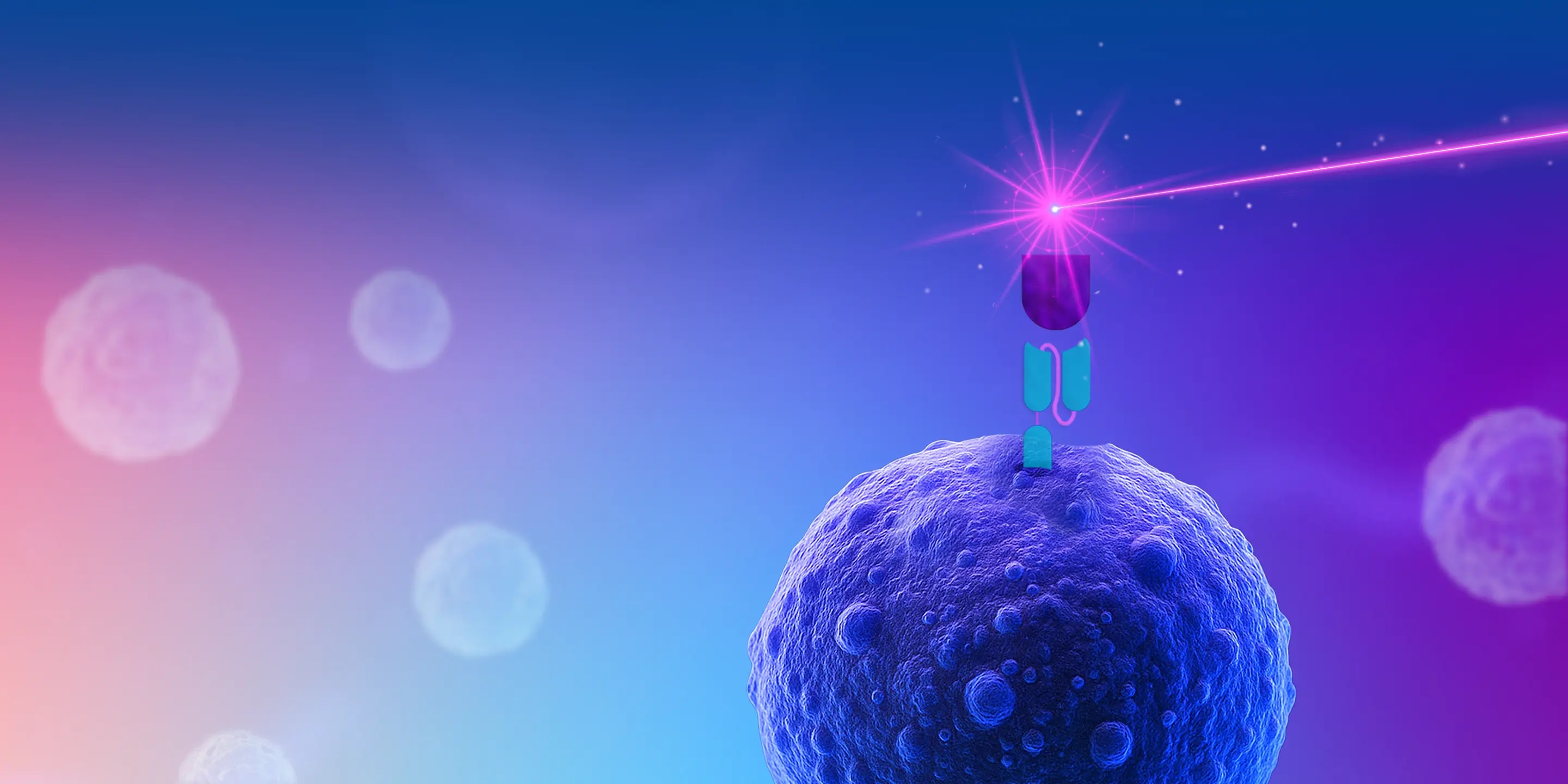 CAR Detection Reagents