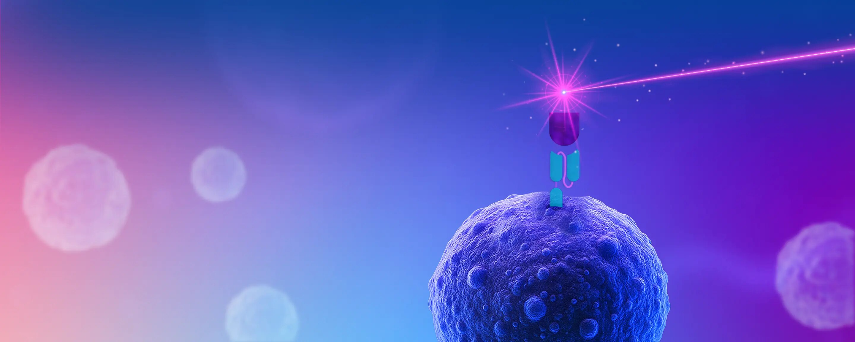 BD CAR Detection Reagents