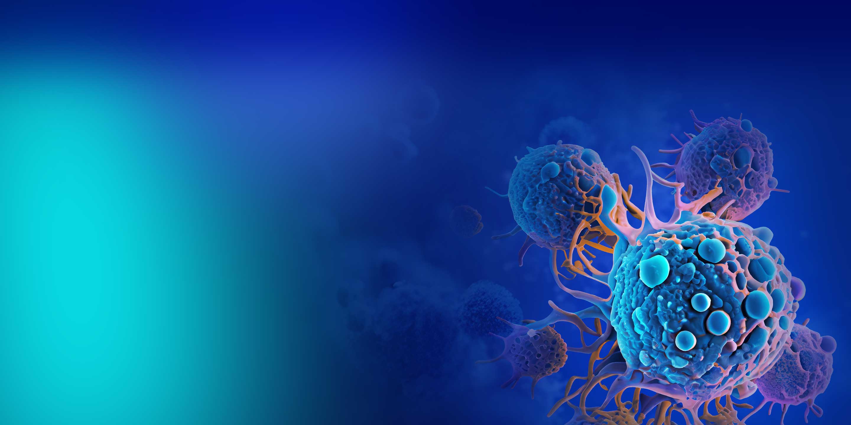 BD® OMICS-One Protein Panels Banner
