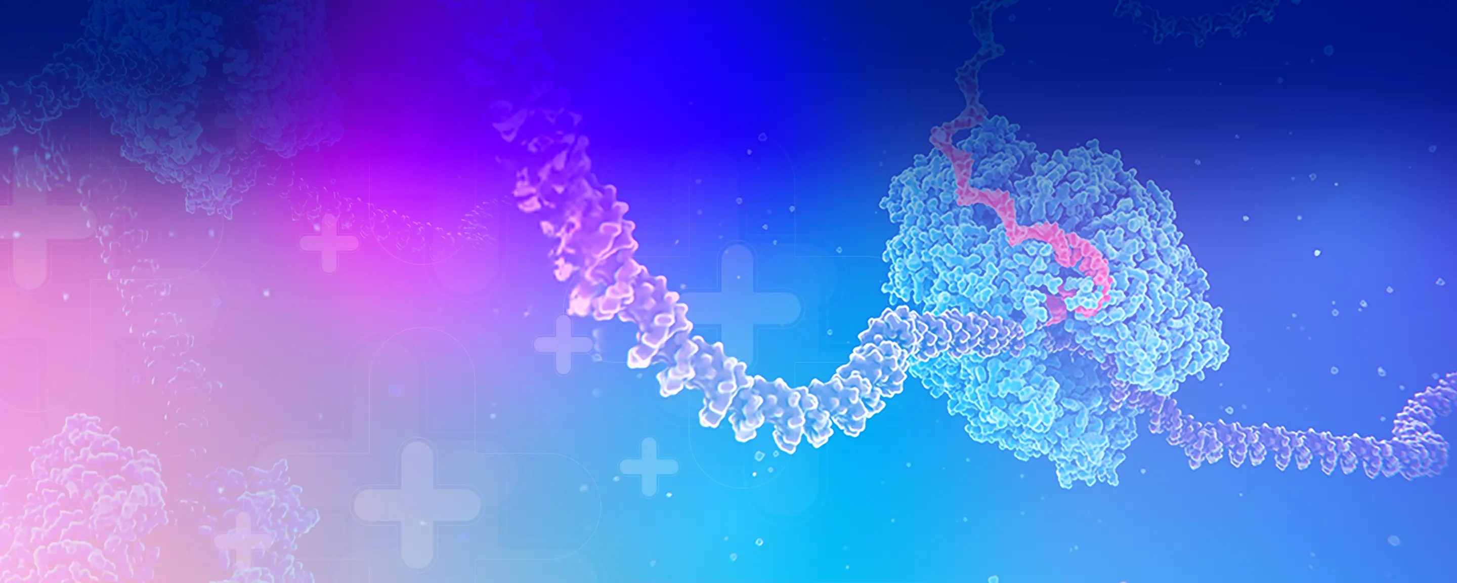 Redefine Single-Cell RNA-Seq on the BD Rhapsody