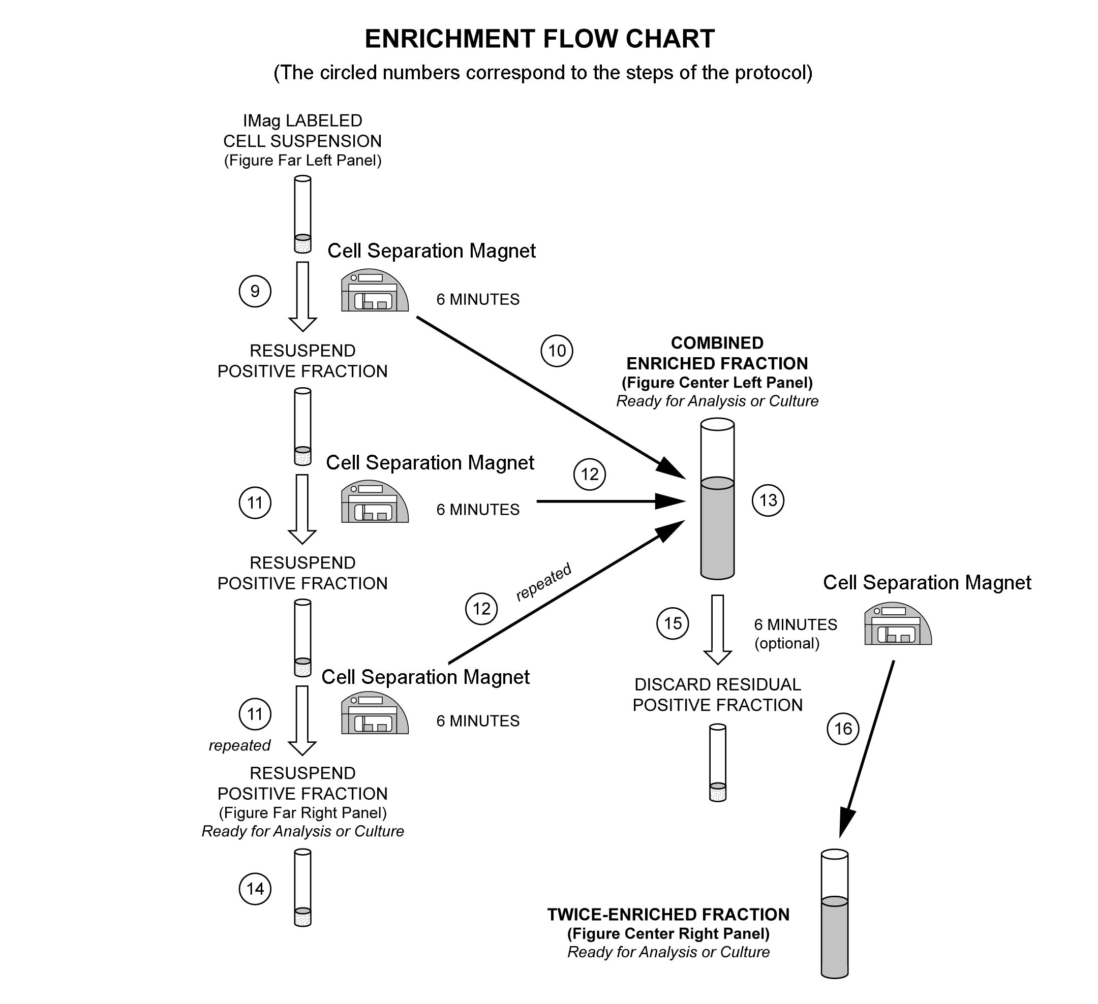 enrichmentchart.png