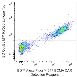 BDTM Alexa FluorTM 647 BCMA CAR Detection Reagent