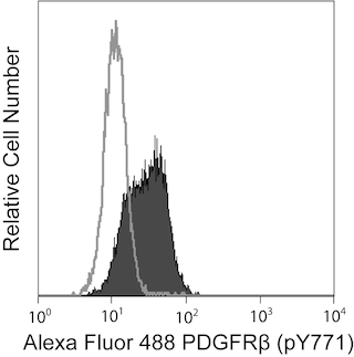 BD PhosflowTM Alexa Fluor 488 Mouse anti-PDGFRbeta (CD140b) (pY771)
