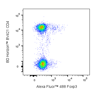 Alexa Rats Alexa Fluor® 488 Rat Anti-Mouse Foxp3