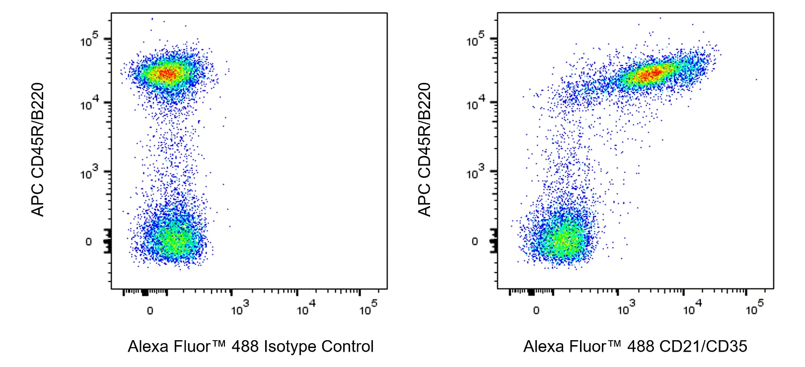 Alexa Rats Alexa Fluor™ 488 Rat Anti-Mouse CD21/CD35
