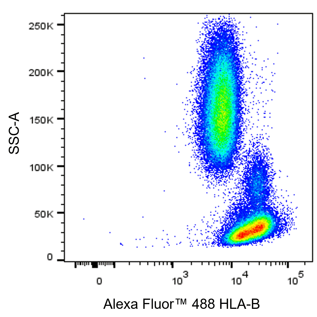 Alexa Rats Alexa Fluor™ 488 Rat Anti-Human HLA-B