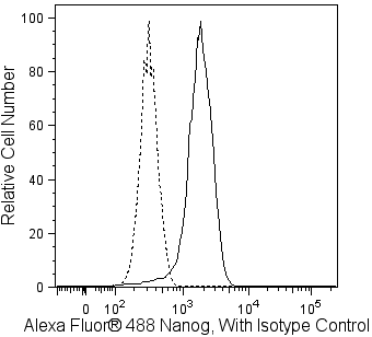 Alexa Fluor® 488 Mouse anti-Human Nanog