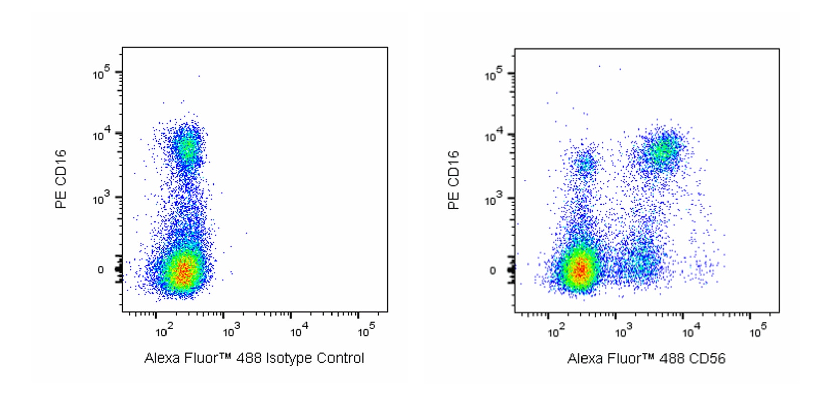 Alexa Fluor™ 488 Mouse Anti-Human CD56