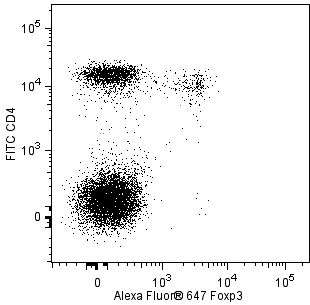 mFoxP3_A647_CD4_F.png