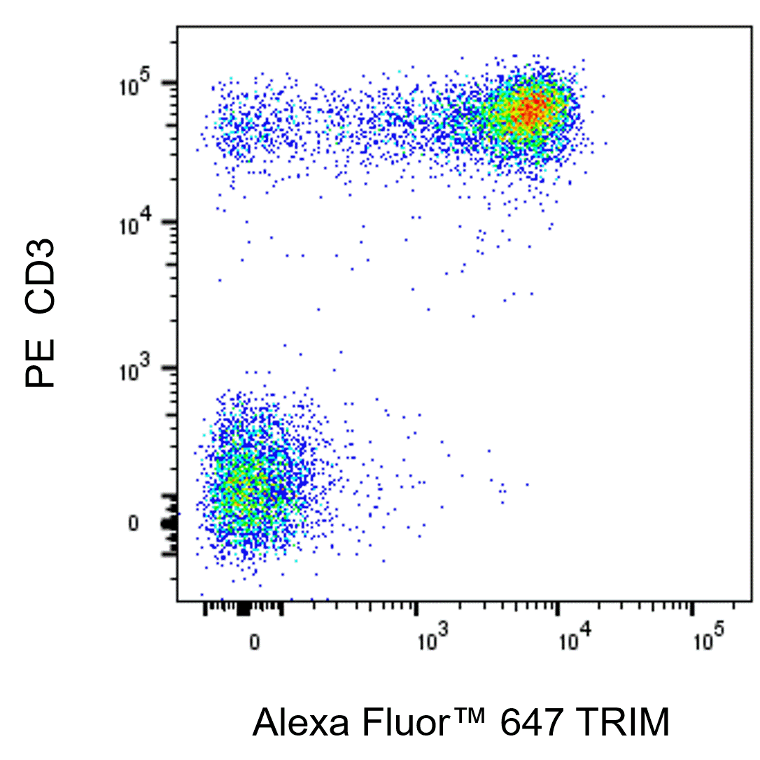 Alexa Fluor™ 647 Mouse Anti-TRIM