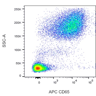 BD PharmingenTM APC Mouse Anti-Human CD65