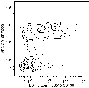 BD HorizonTM BB515 Rat Anti-Mouse CD138