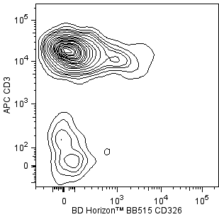 mCD326_BB515_CD25_spln.png