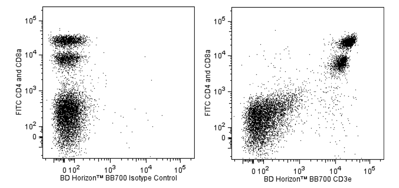 BB700 Armenian Hamster Anti-Mouse CD3e