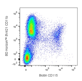 BD PharmingenTM Biotin Rat Anti-Mouse CD115 (CSF-1R)