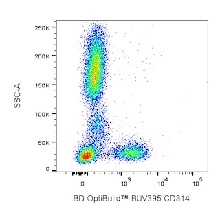 BD OptiBuildTM BUV395 Mouse Anti-Human CD314 (NKG2D)