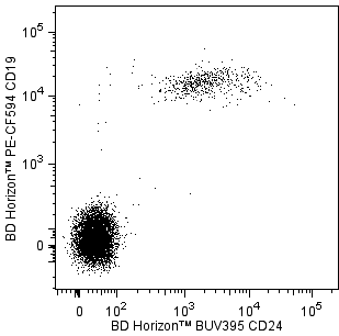BD HorizonTM BUV395 Mouse Anti-Human CD24