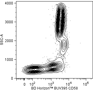 hCD58_BUV395_vs_SSC.png