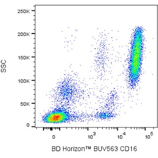 BD HorizonTM BUV563 Mouse Anti-Human CD16