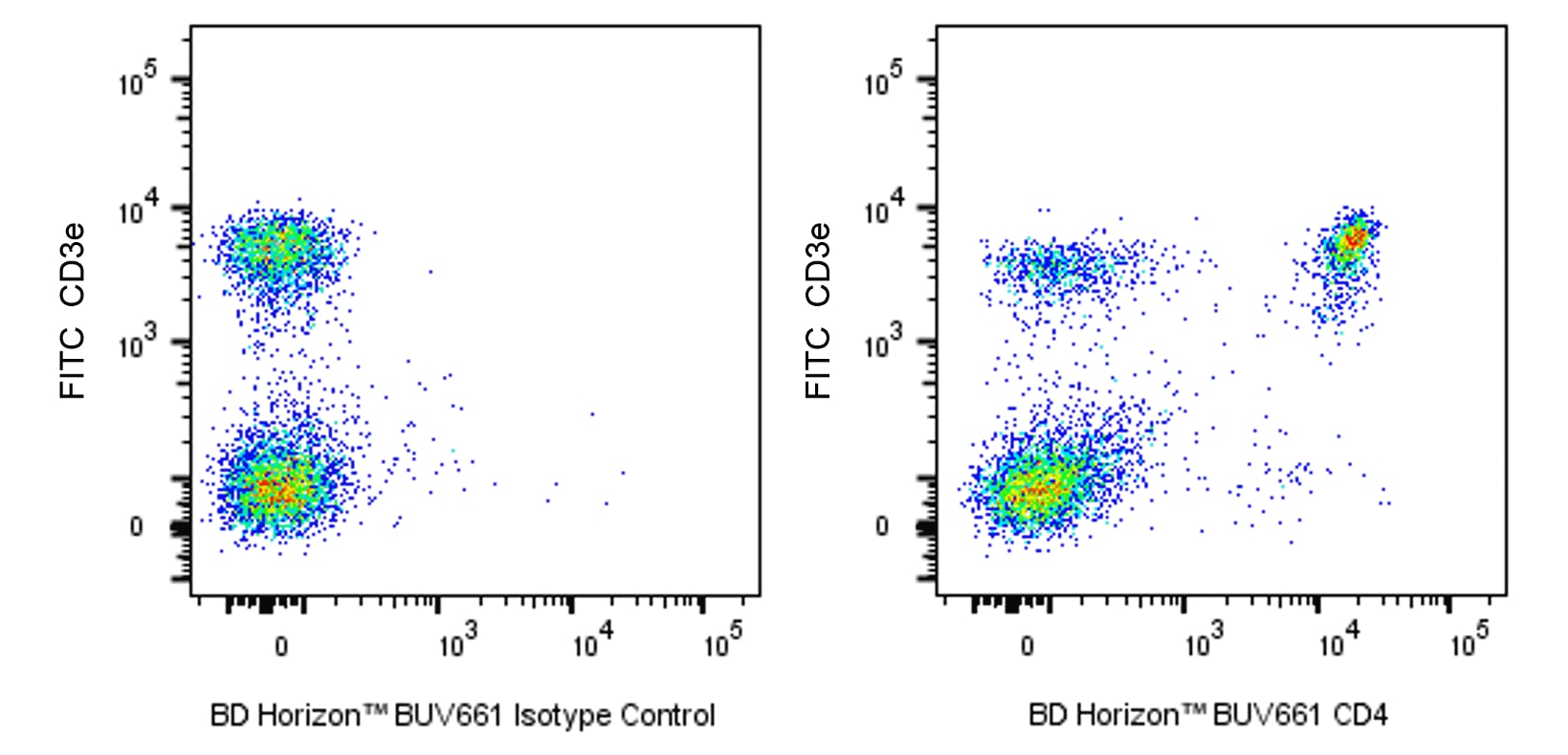 その他 UFlesh and Blood dorinthea dash Dorinthea Ironsong - Hero Alter - Flesh and Blood TCG - Etsy