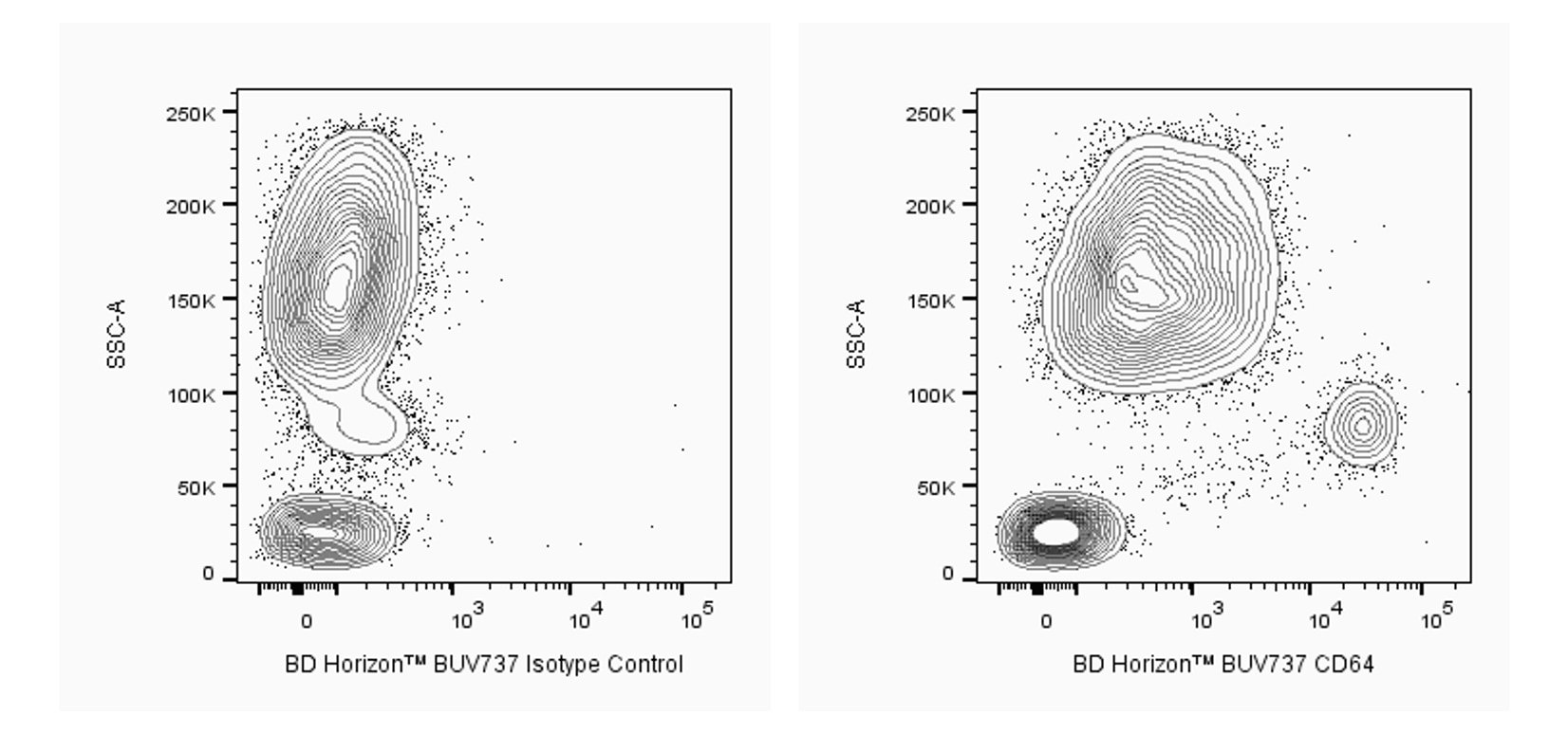 BUV737 Mouse Anti-Human CD64