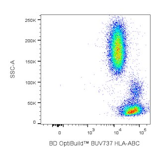 BD OptiBuildTM BUV737 Mouse Anti-Human HLA-ABC