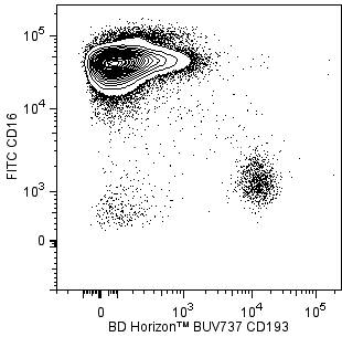 hCD193_BUV737_vs_CD16.png