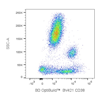 BD OptiBuildTM BV421 Mouse Anti-Human CD38