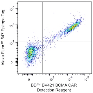 BDTM BV421 BCMA CAR Detection Reagent