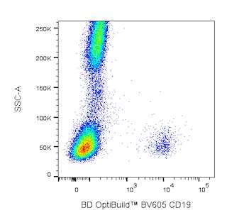 BD OptiBuildTM BV605 Mouse Anti-Human CD19