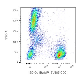 BD OptiBuildTM BV605 Mouse Anti-Human CD2