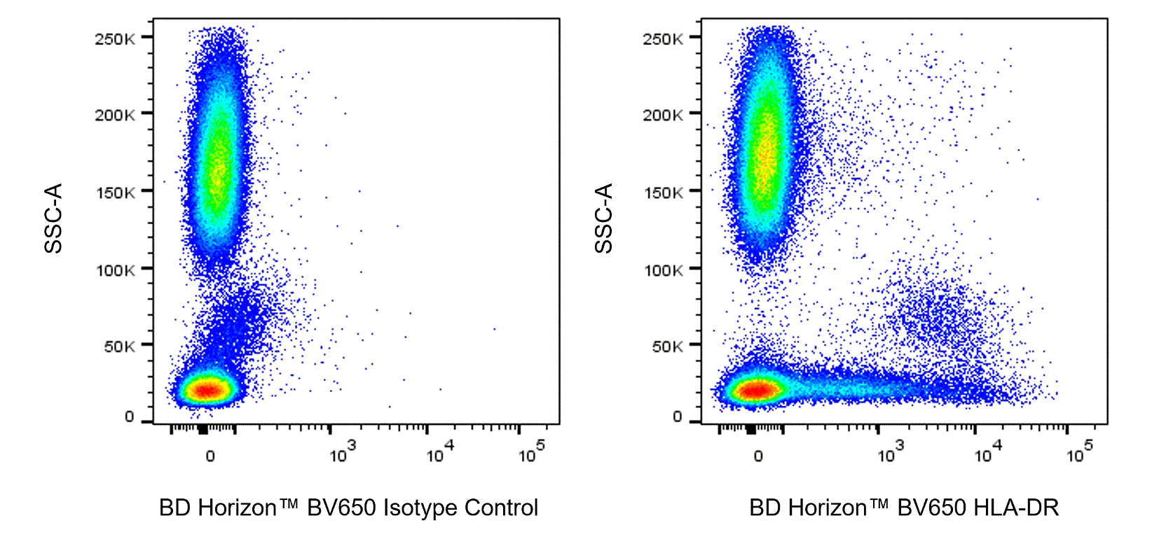 BV650 Mouse Anti-Human HLA-DR