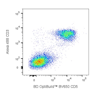BD OptiBuildTM BV650 Rat Anti-Mouse CD5