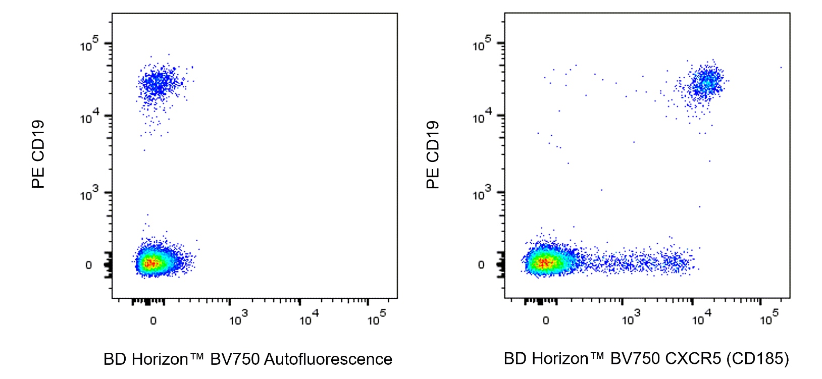 空BD 066-04021-1111 BendixKing SG-465 | SEAEROSPACE.COM