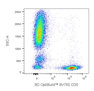 BD OptiBuildTM BV750 Mouse Anti-Human CD5