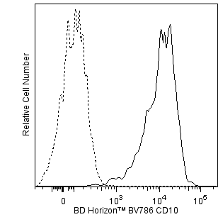ハシビロ Kawasaki ZX10 Revolution Handslider Complete Kit 04-Current