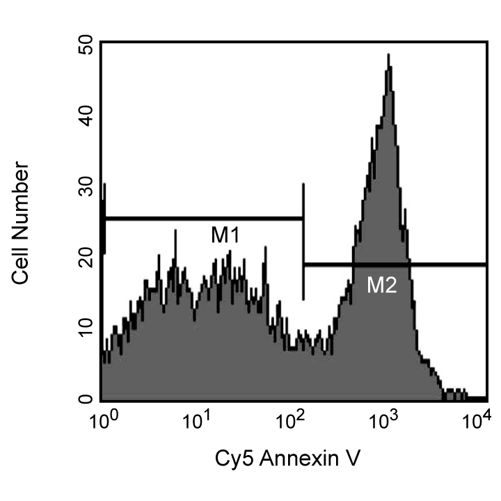6587MX_559933_image4.png