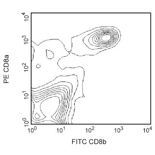 BD PharmingenTM FITC Mouse Anti-Rat CD8b