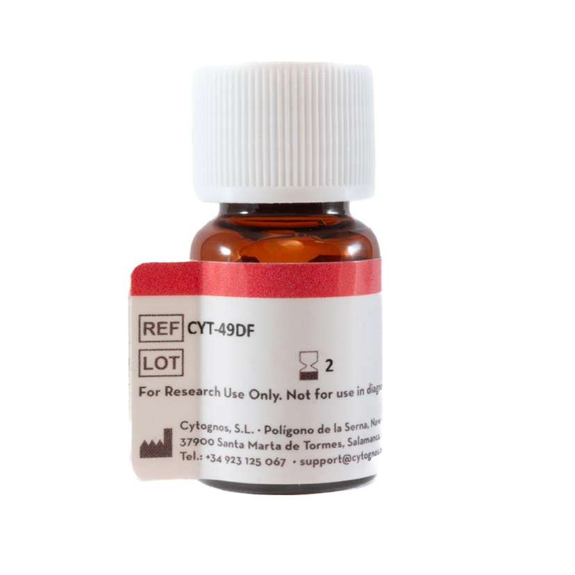 cyt-49df_01.png