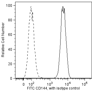 BD PharmingenTM FITC Mouse anti-Human CD144