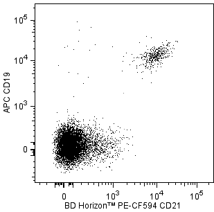 hCD21_PE-CF594_CD19_APC.png