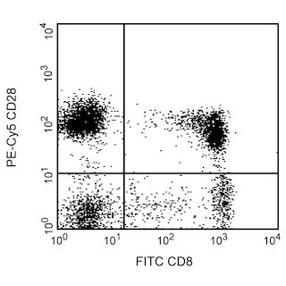 BD PharmingenTM PE-CyTM5 Mouse Anti-Human CD28