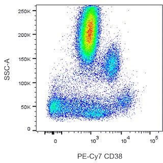 BD PharmingenTM PE-Cy7 Mouse Anti-Human CD38