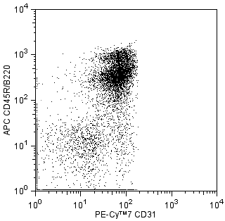 mCD31_PE-Cy7_positive.png