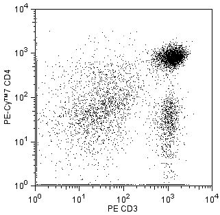 rat_CD4_PE-Cy7_CD3_PE.png