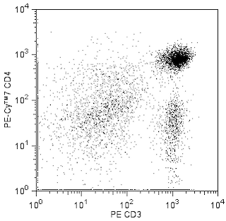 BD PharmingenTM PE-CyTM7 Mouse Anti-Rat CD4