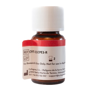 BD CytognosTM CD11c-PE