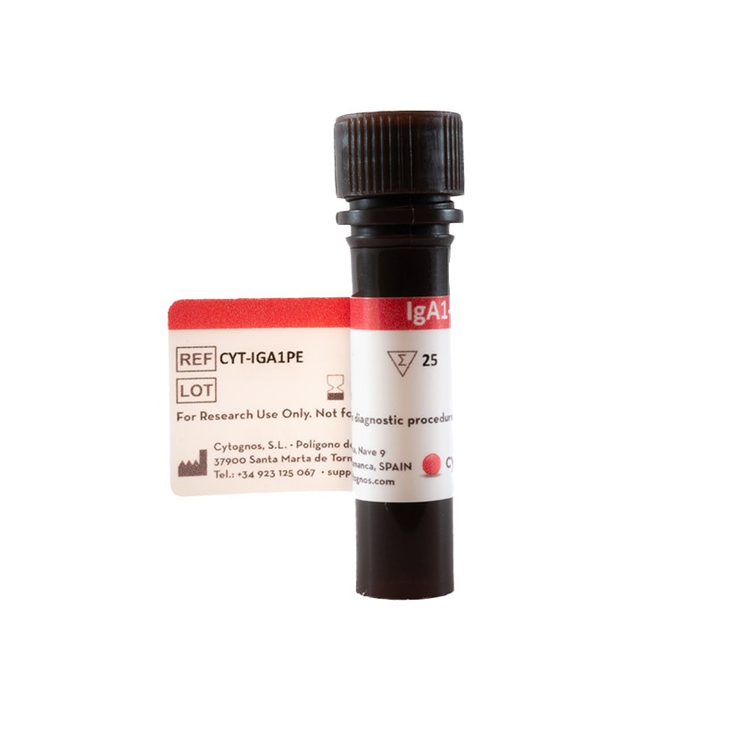 cyt-iga1pe_01.png