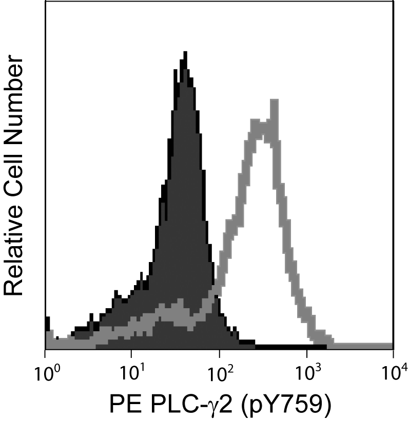 558490fig.png